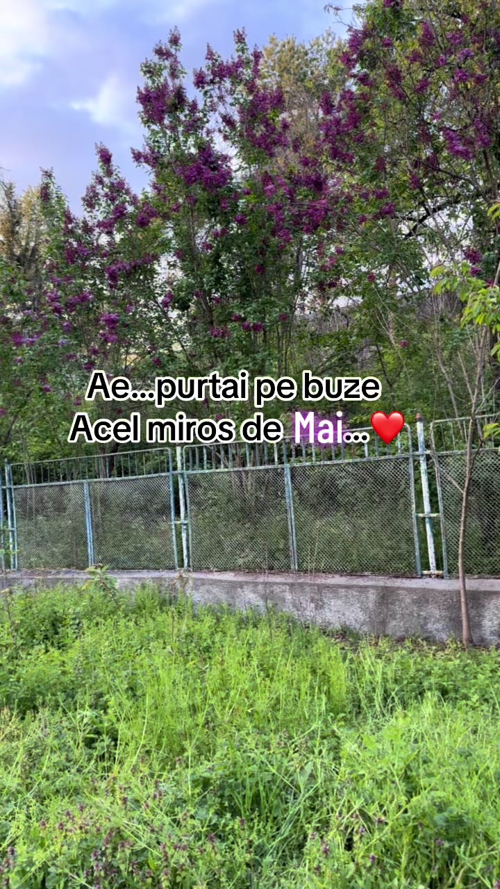 @Pls👍😂