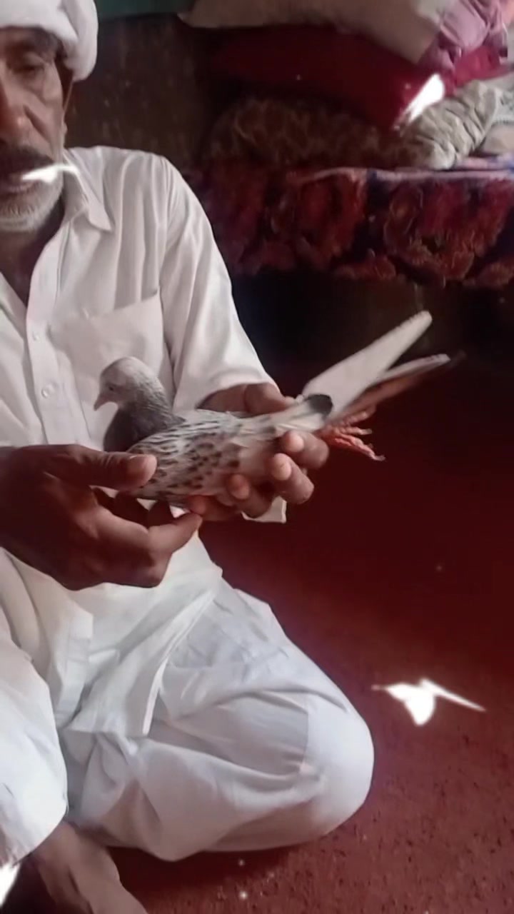 @Umar Malik