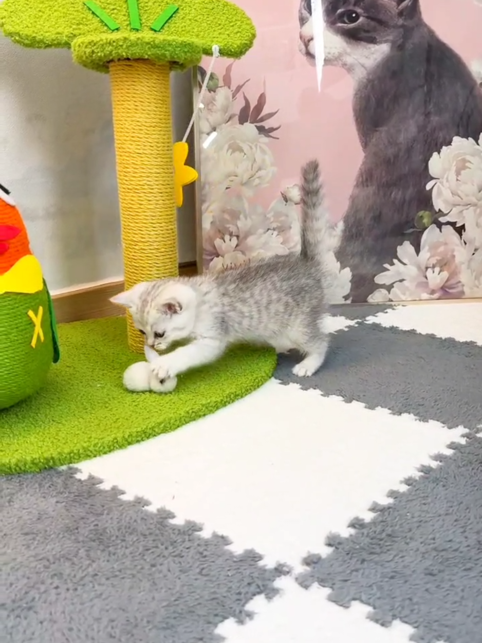 @핑발바닥은 못참는다냥🐱