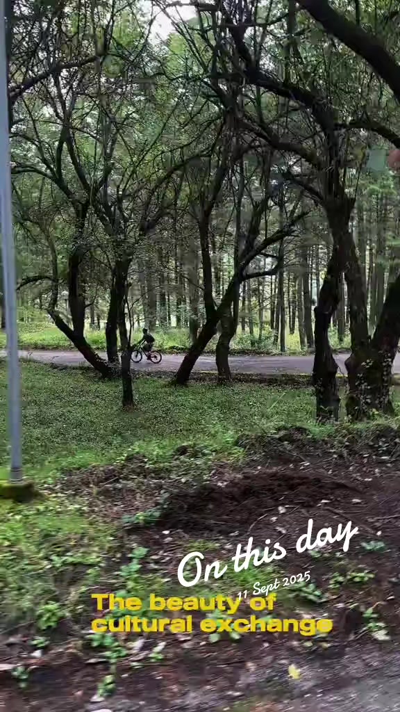 @Brompton Experiences