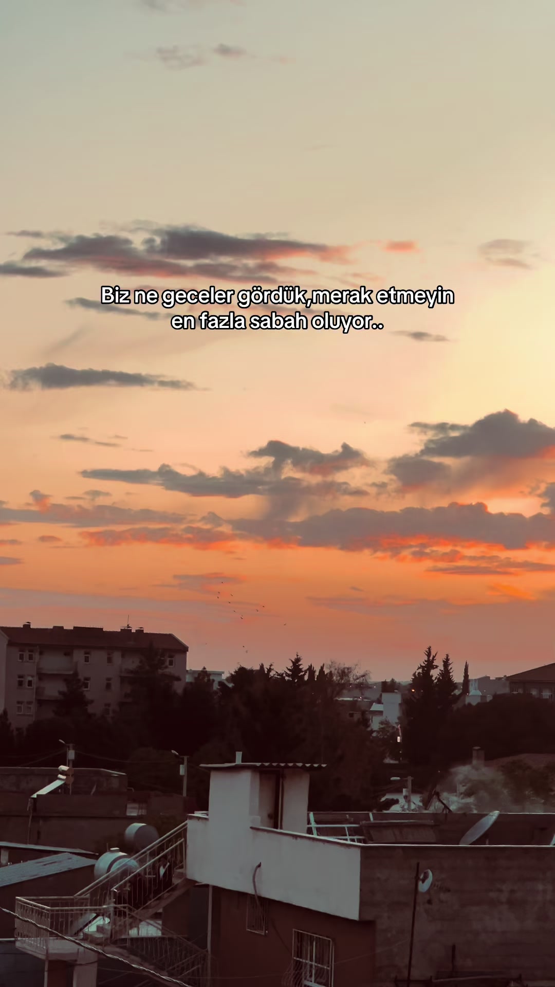 @𝘚𝘵𝘰𝘳𝘺 𝘚𝘢𝘺𝘧𝘢𝘮💫