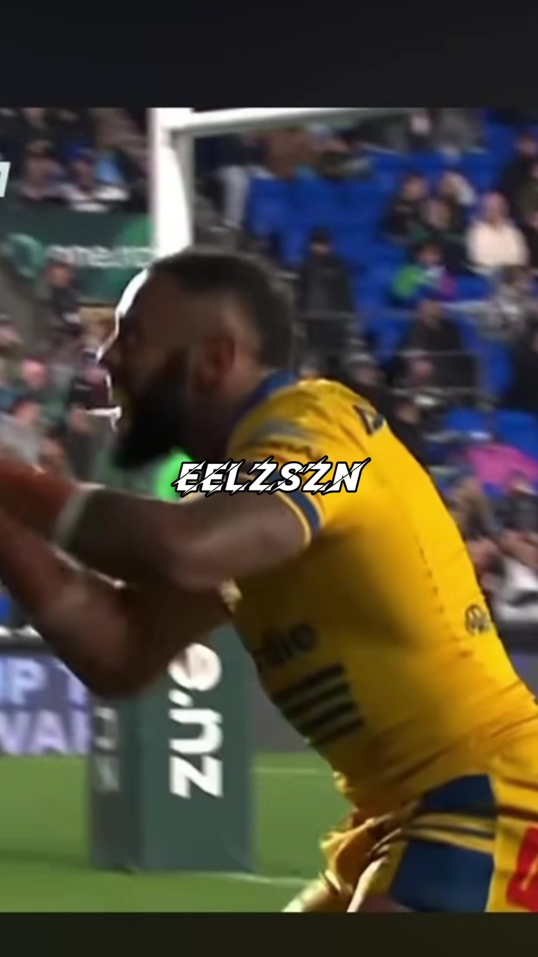 @EELZSZN