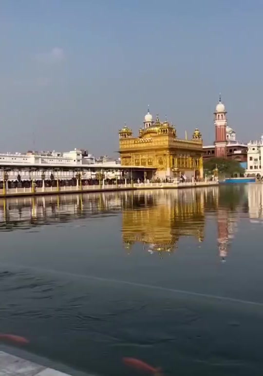 @Harpreet Sran