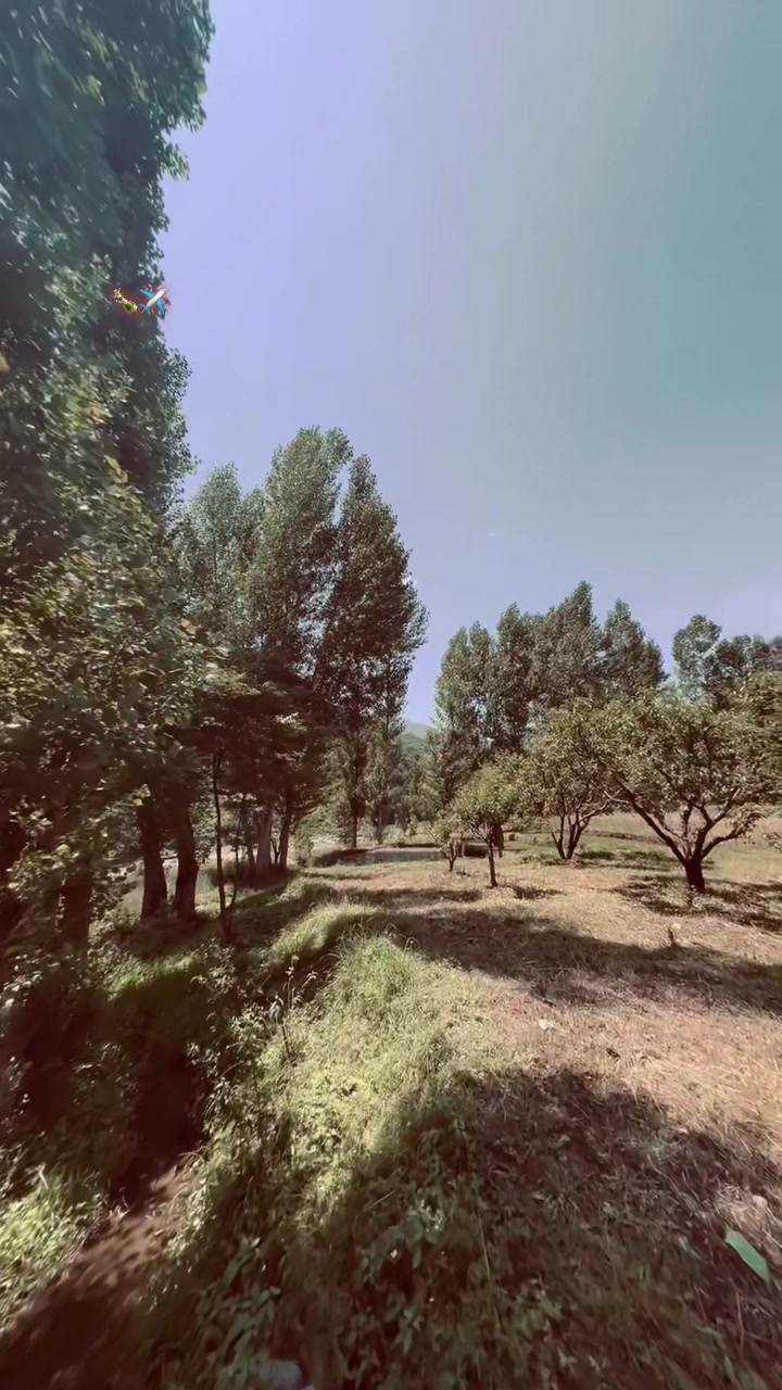 @malakptm1