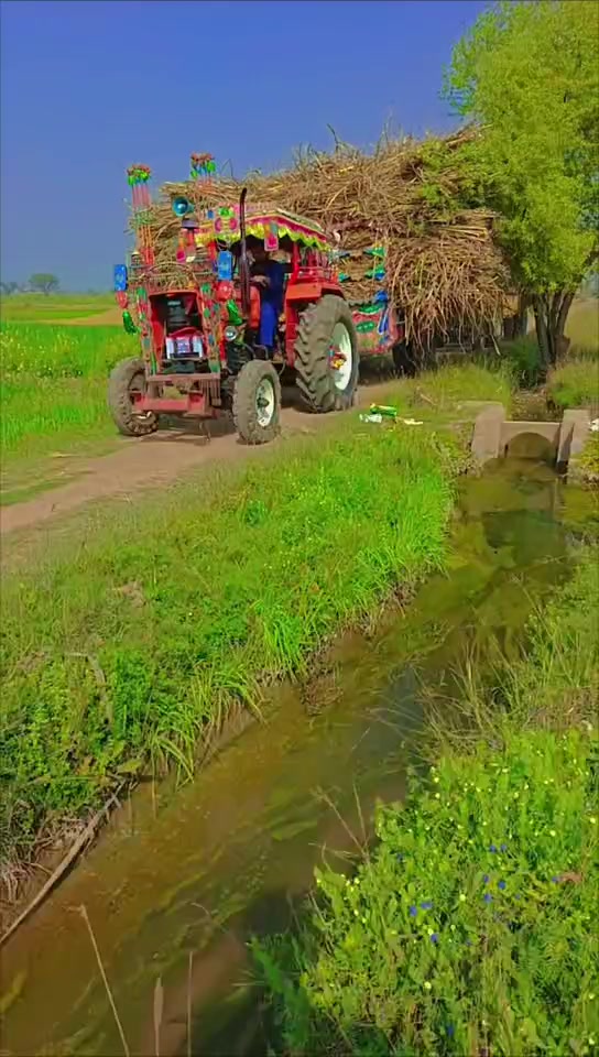 @malikarslanawan106