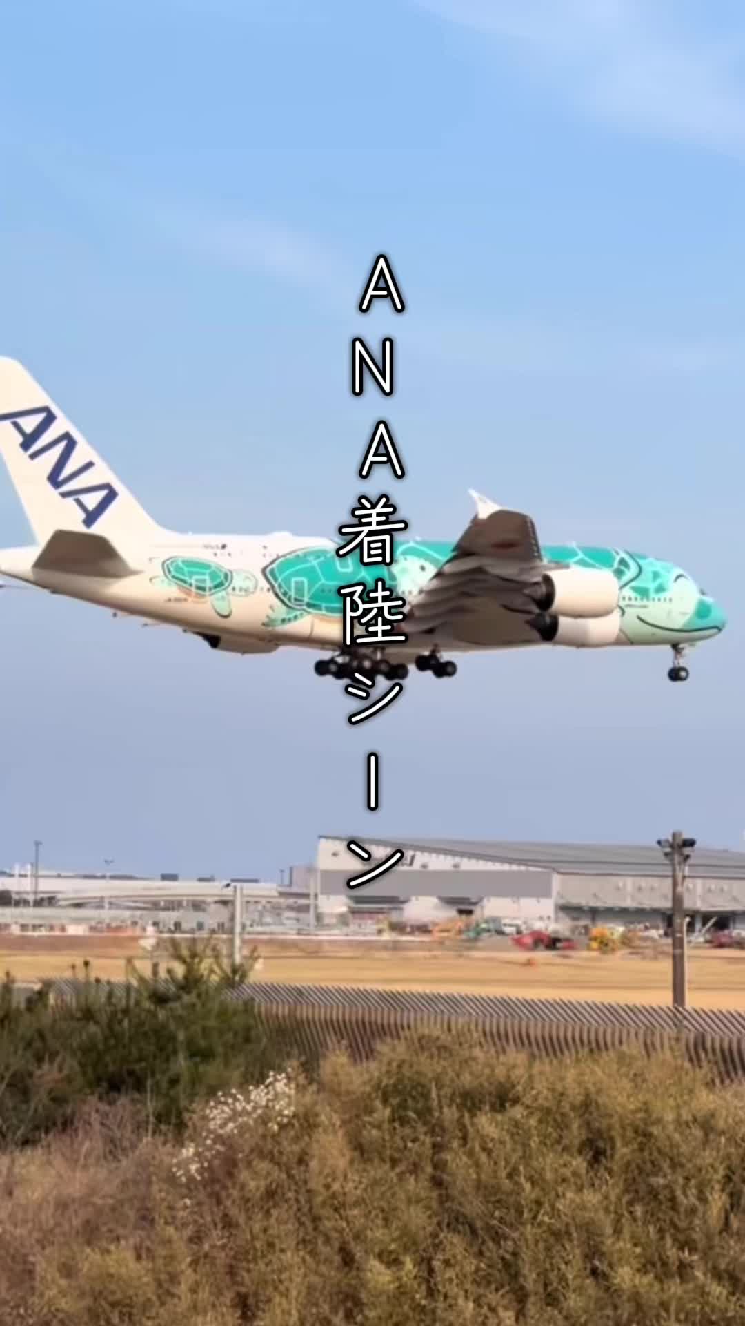 @バラ男