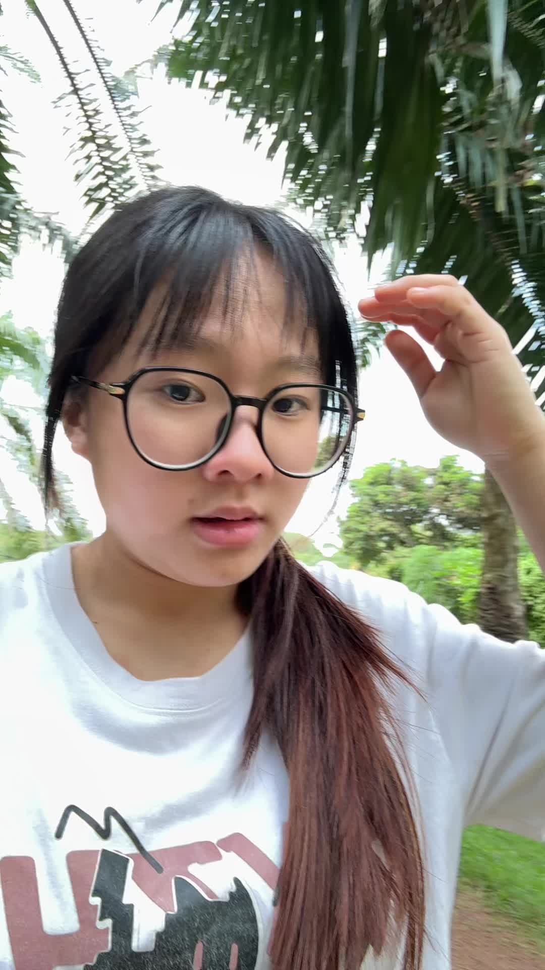 @xiaojieee