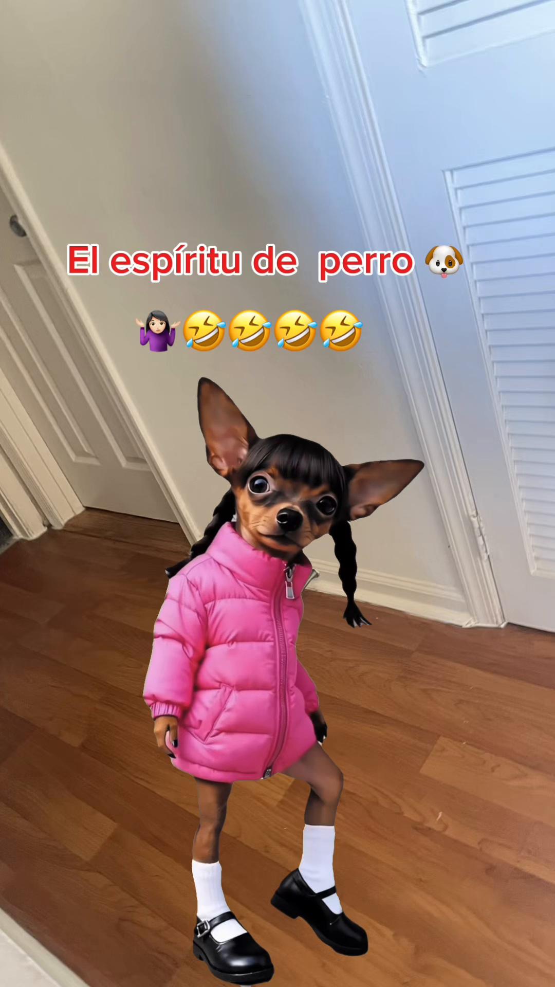 @꓄꒐꓄ꋬ ꃳꄲꆰ꒤꒐ꋊ