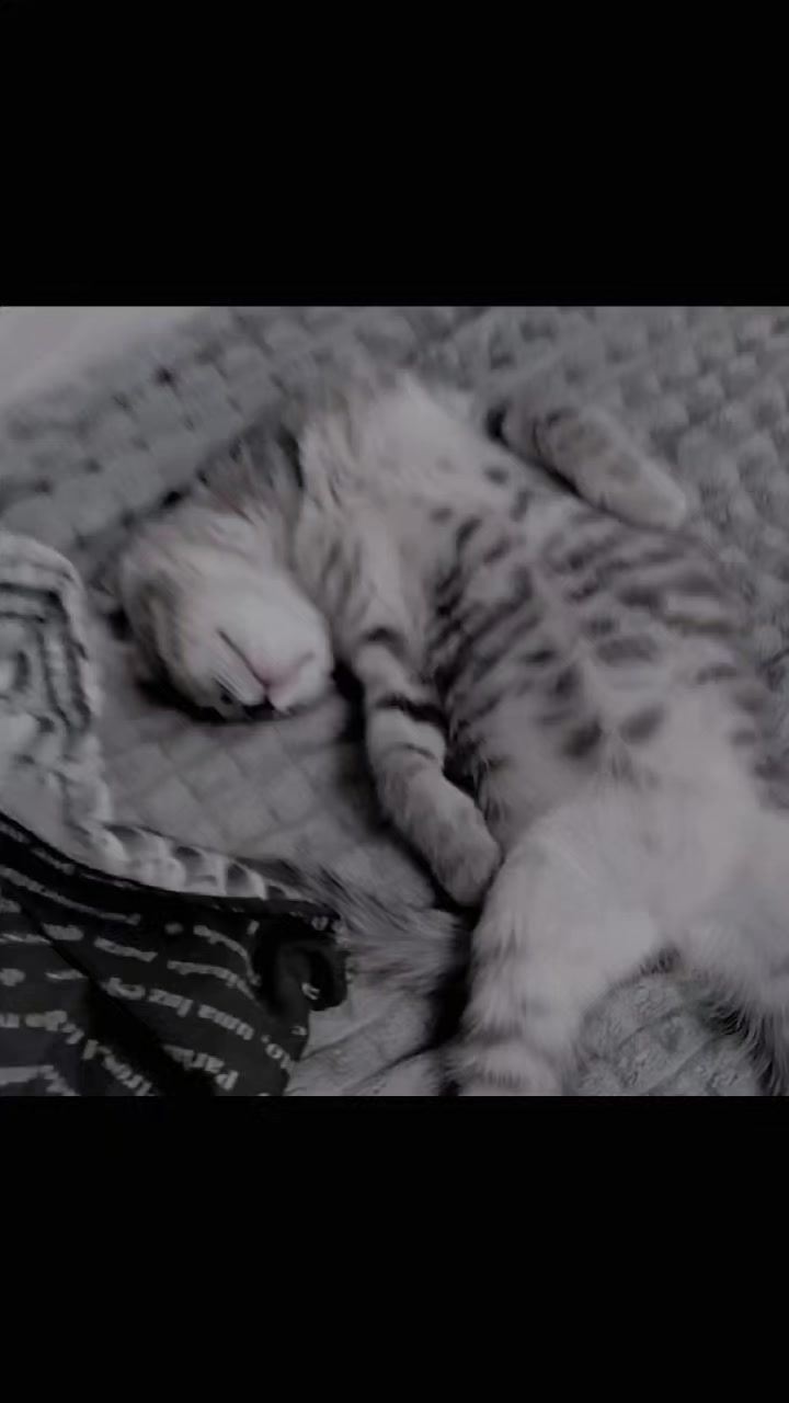 @𝐋𝐚𝐝𝐲✯𝐌𝐢𝐥𝐥𝐞𝐫