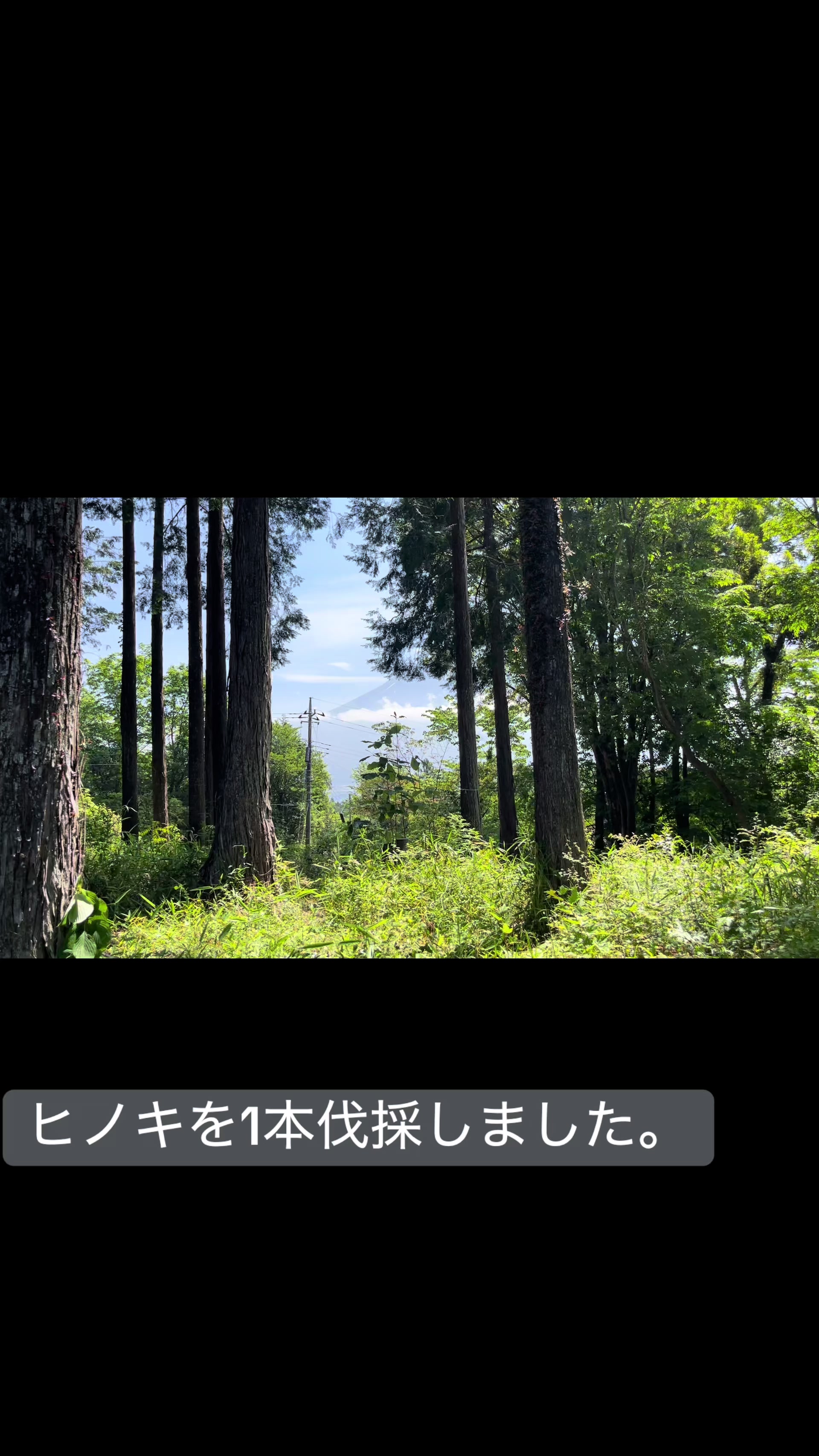 @若林昭子