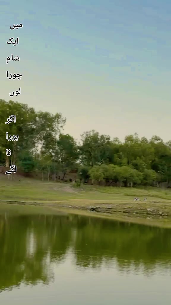 @دائم♡