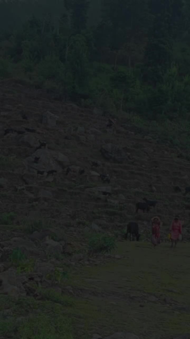@khimathapamagar49
