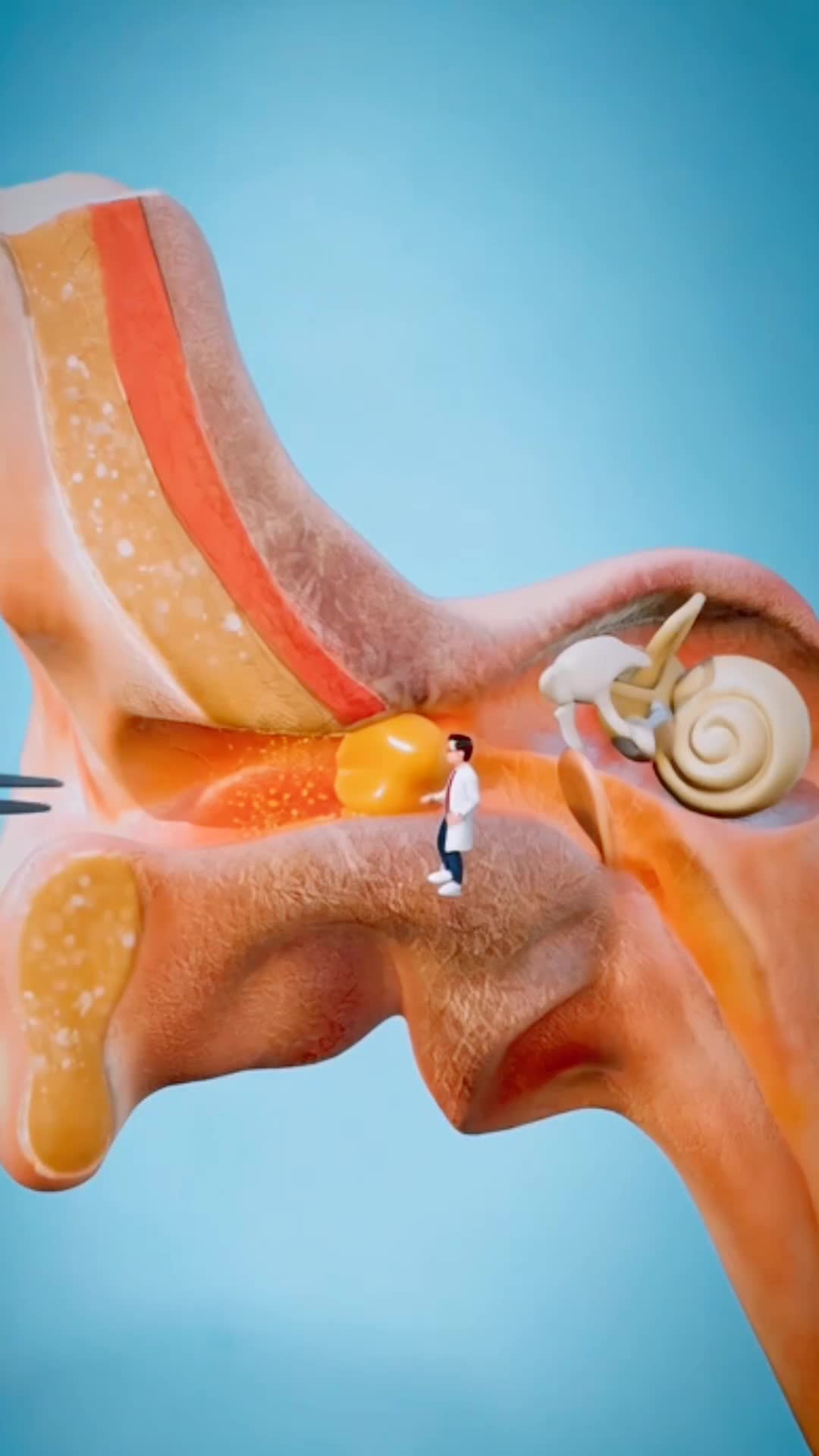 @💊🩺 دكتور محمود 💊🩺
