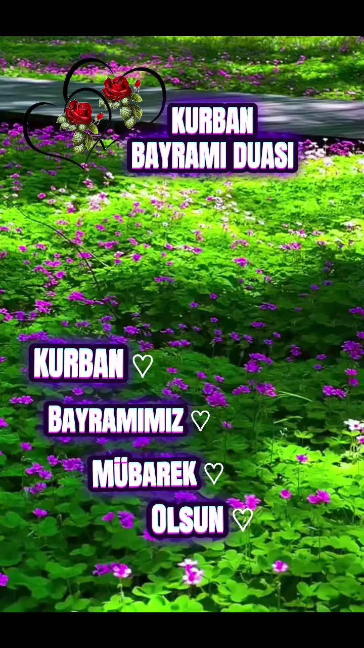 @💫✨Huzurum İslam✨💫