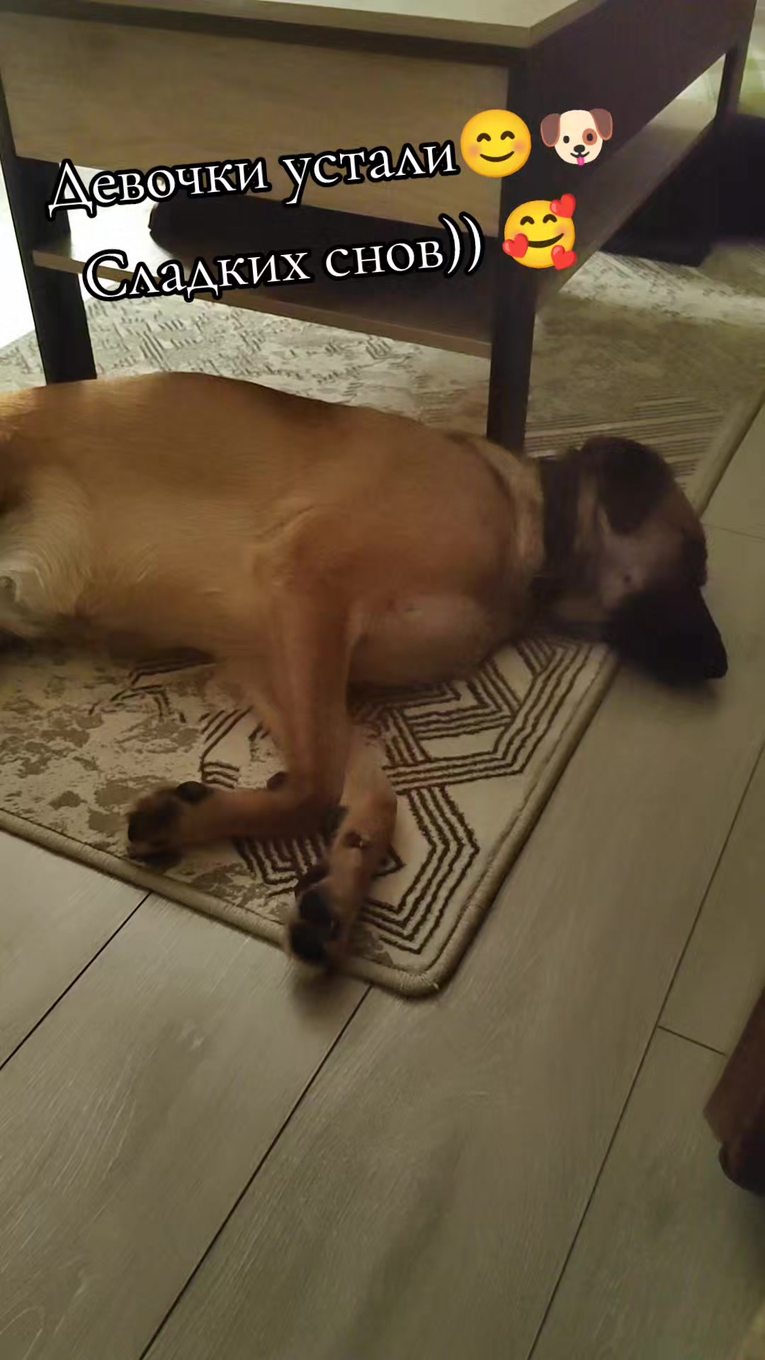 @🤗Леночка