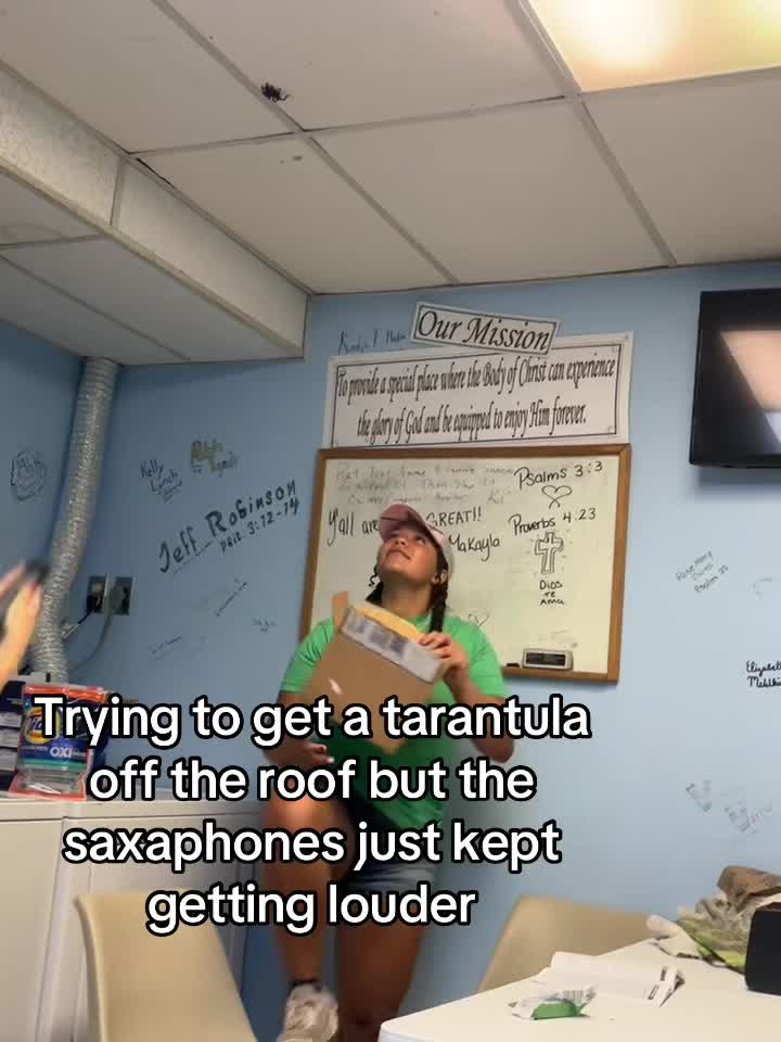 @lexiallynsspam