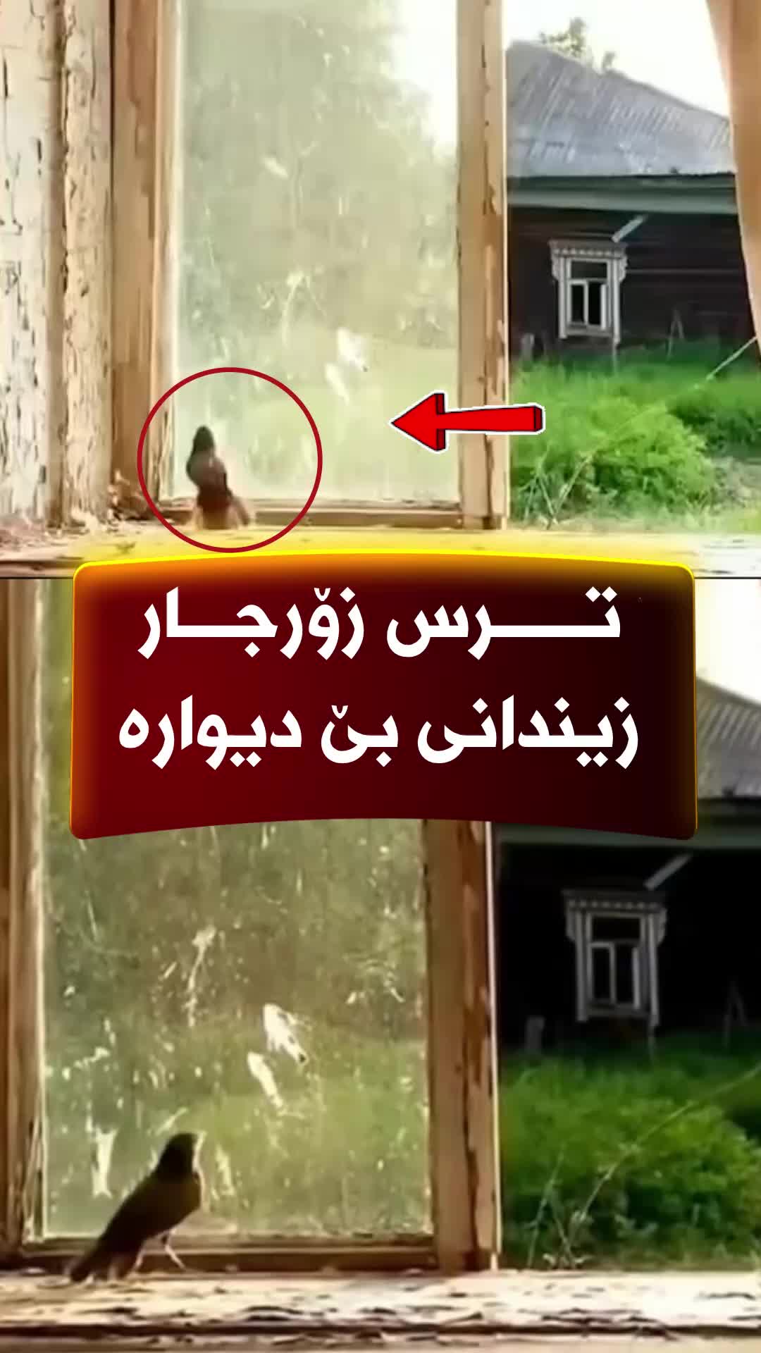 @🎤📺 𓆩جیگر هەركی𓆪 Journalist