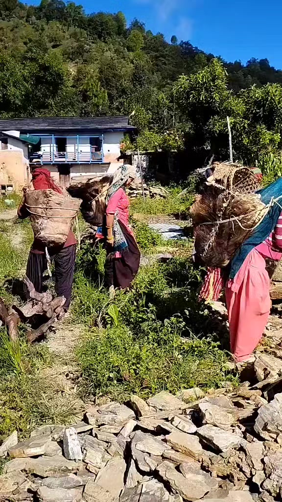 @Tika Bhandari