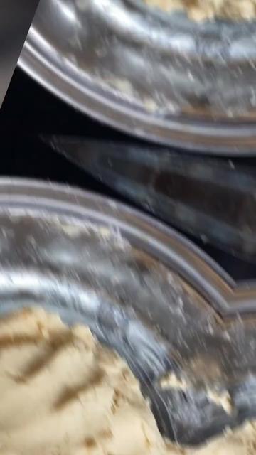 @GIGI-TA🪩🐝🥭 ⛵🧿⚓🎨🐜🦥🐒🌵🩵