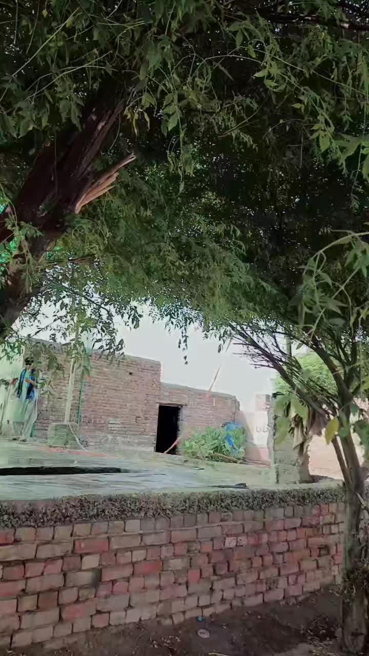 @JA khani