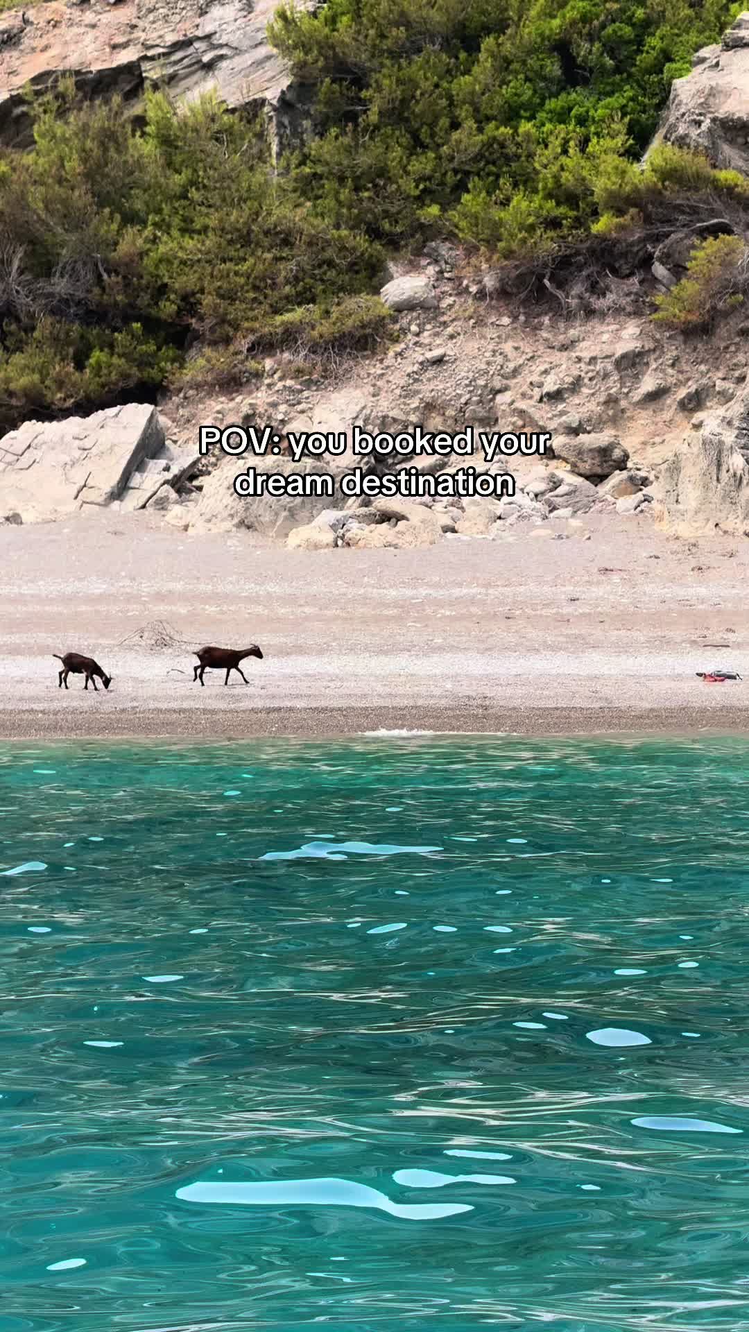 @Mara Fiona