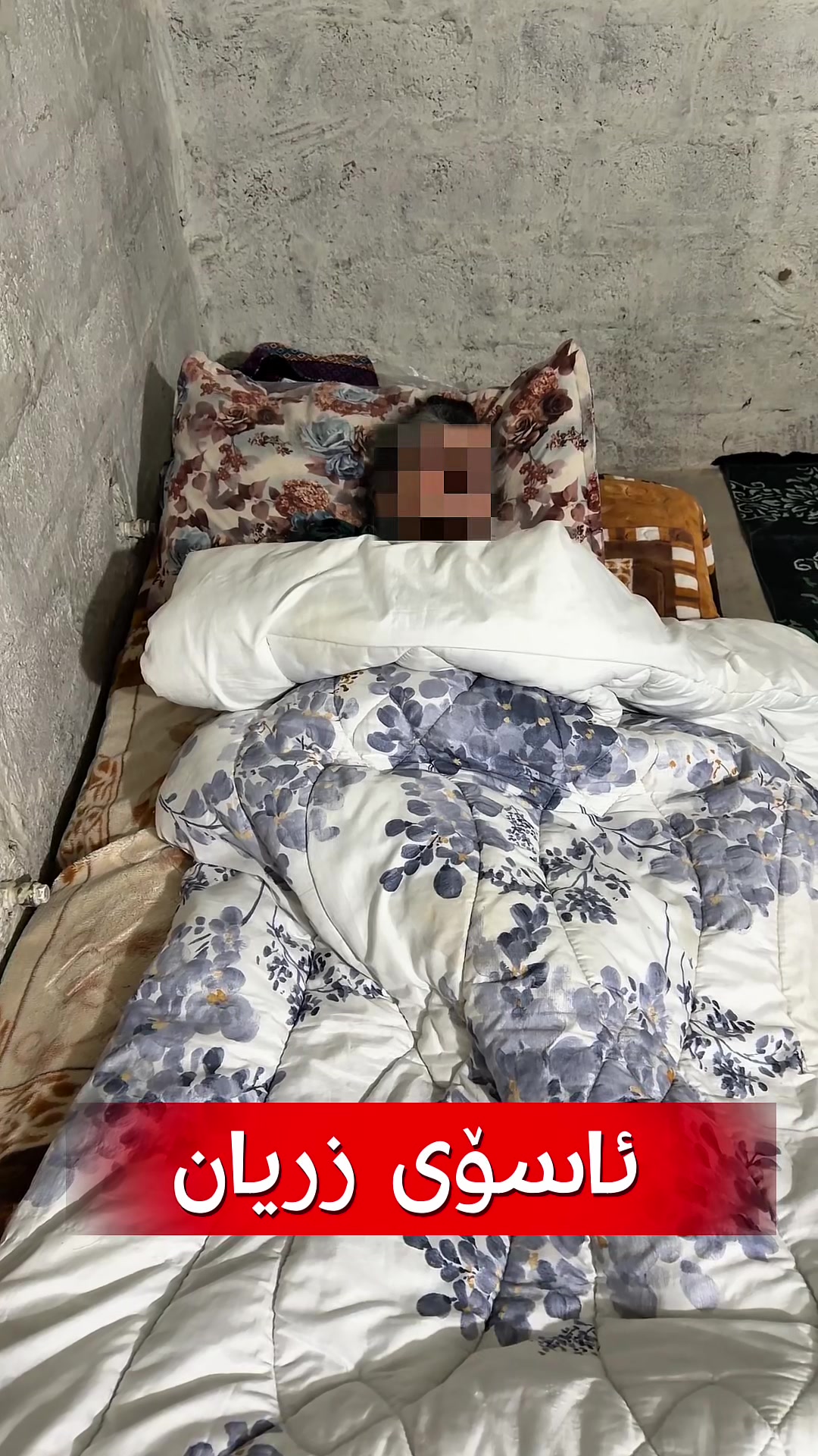 @زریان خەیلانی