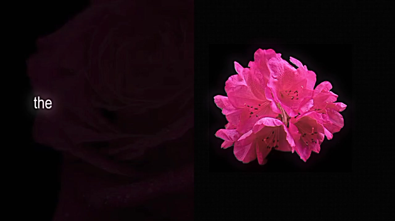 @𝘷𝘦𝘭𝘮𝘮𝘳𝘢𝘺𝘹