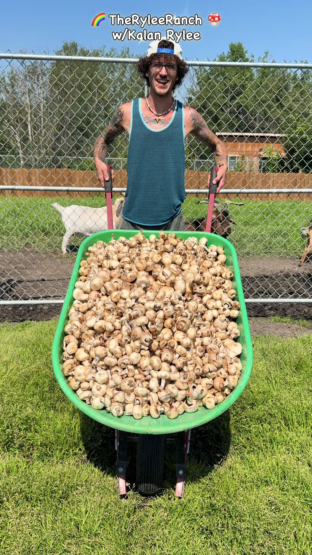 @RyleeRanch