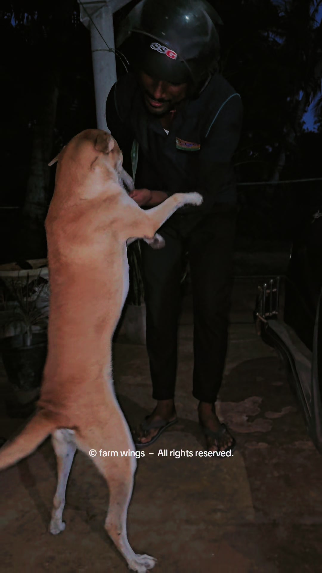 @𝗙𝗔𝗥𝗠 𝗪𝗜𝗡𝗚𝗦