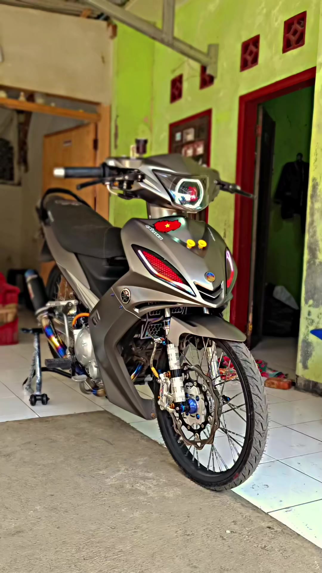 @wildia colection