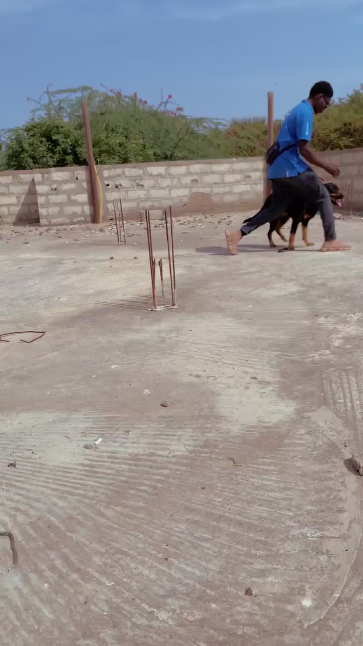 @Momoparleauxchiens🇸🇳🇩🇪