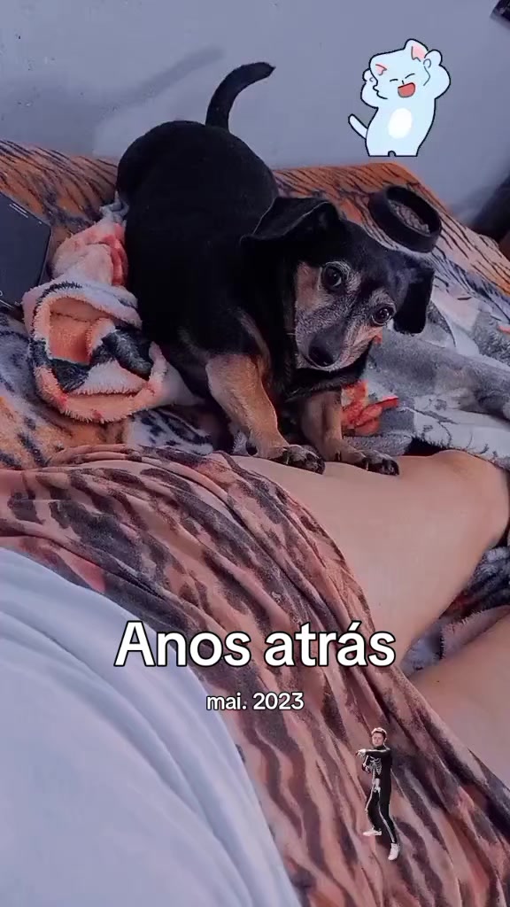 @Rosangela Marques