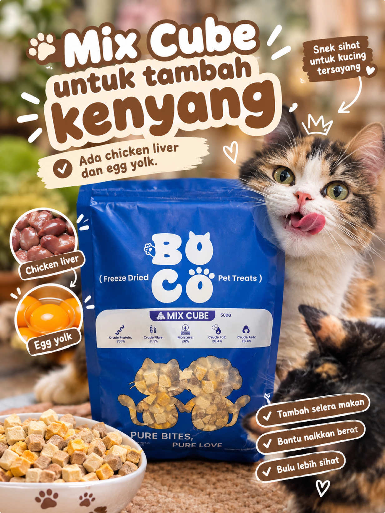 @KUCING SAYA MAJIKAN SAYA|BIHA