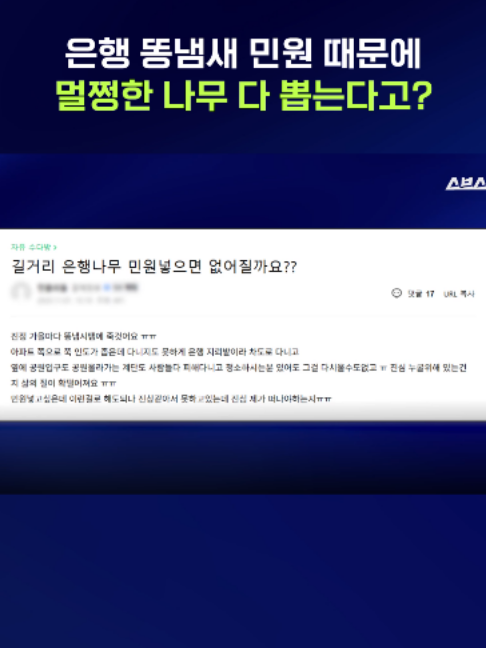 @스브스뉴스