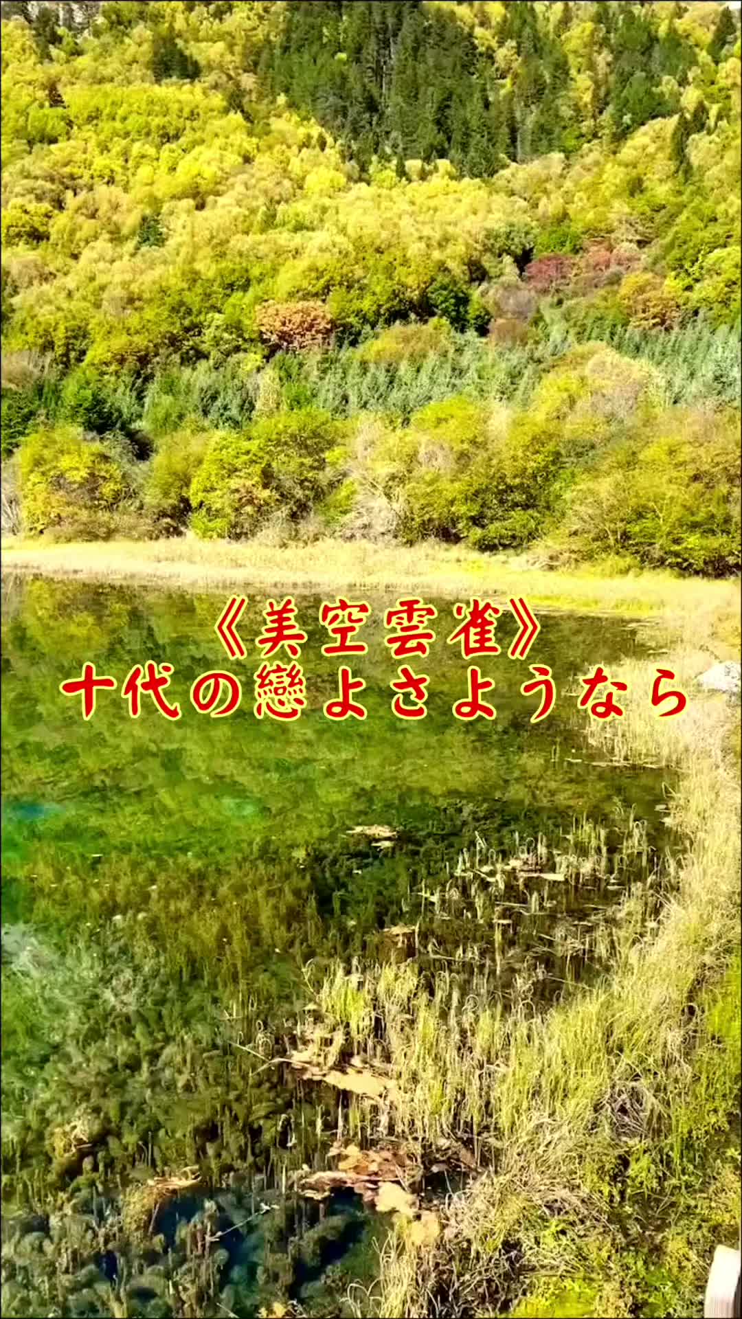 @雞不叫也天亮
