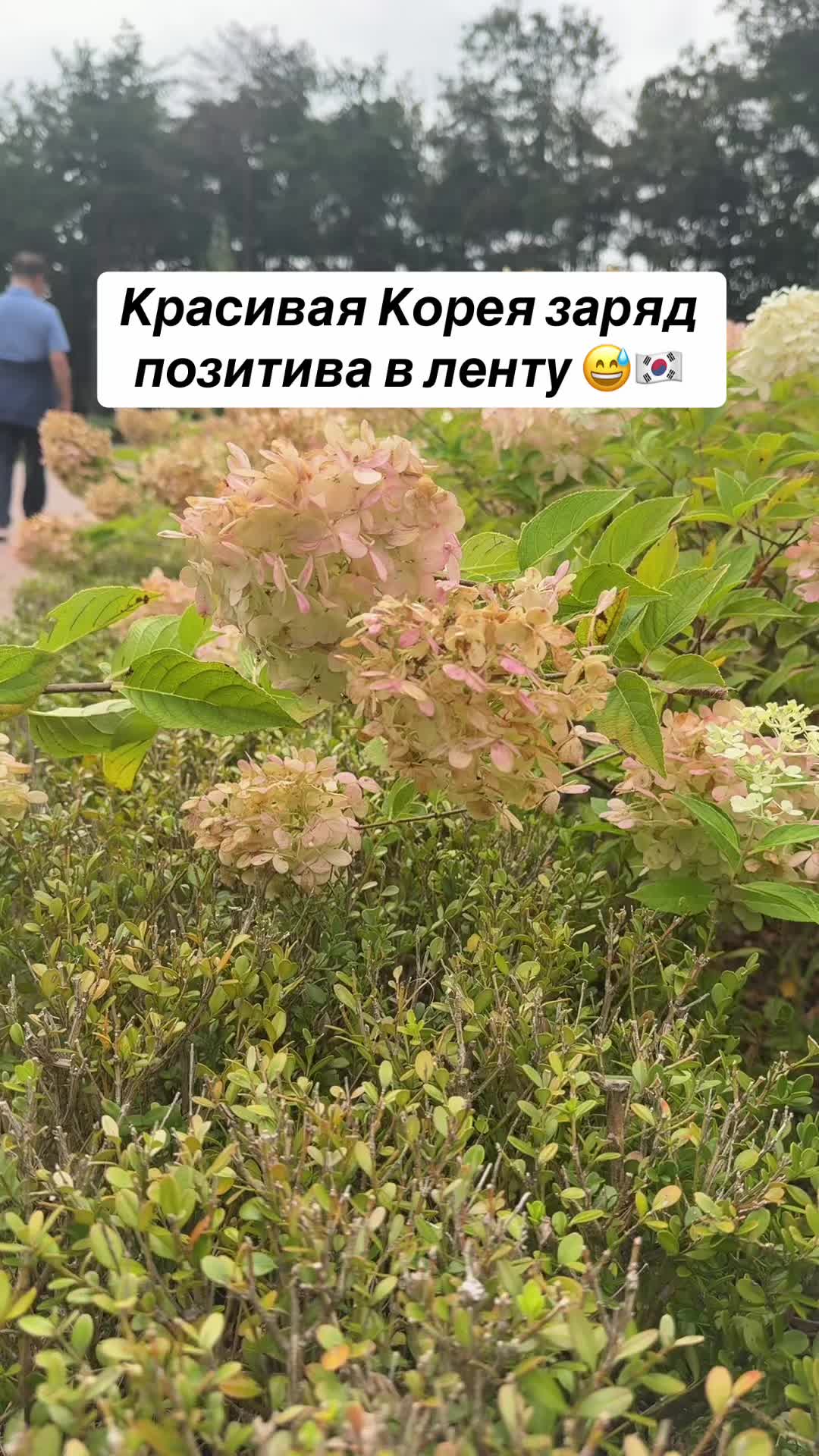 @Kan Oleg