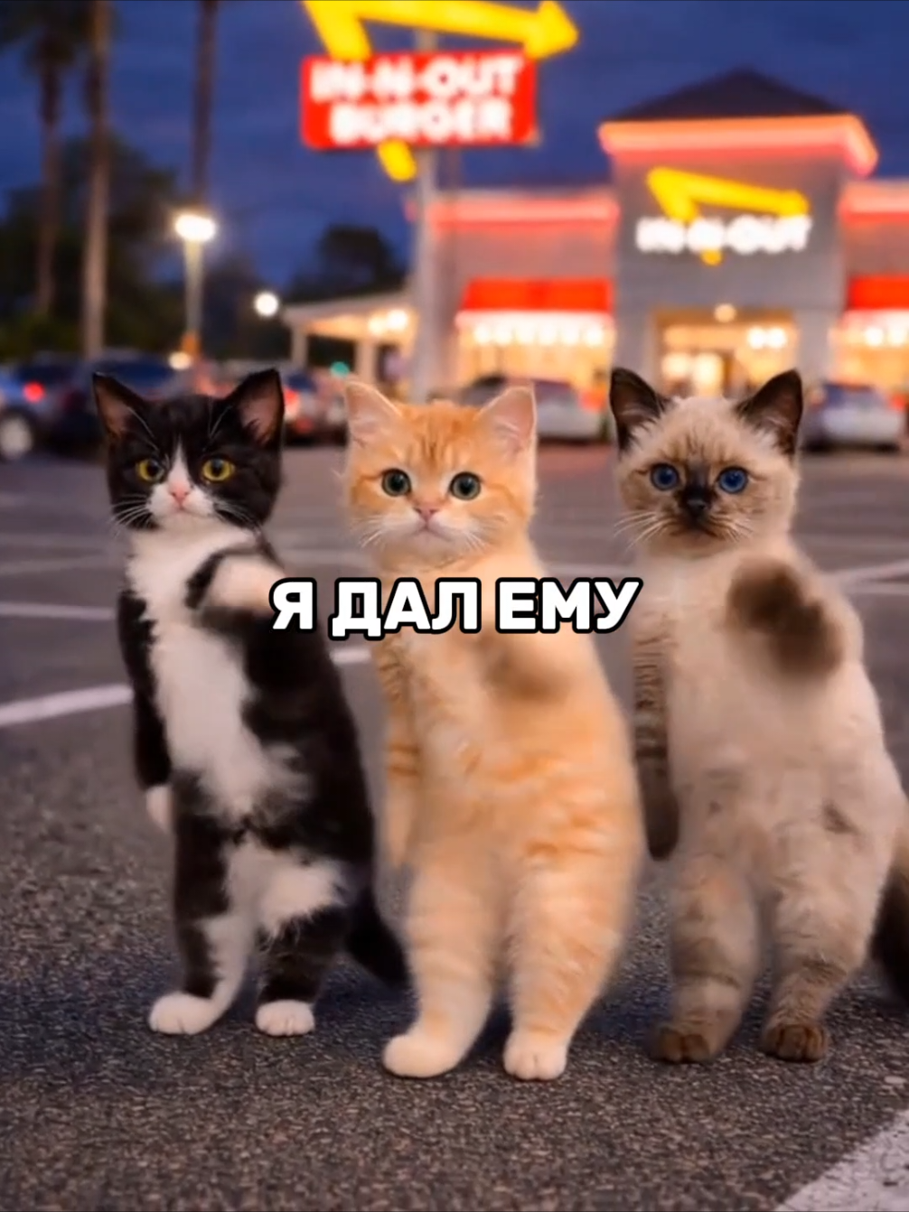 @афоня рекордс