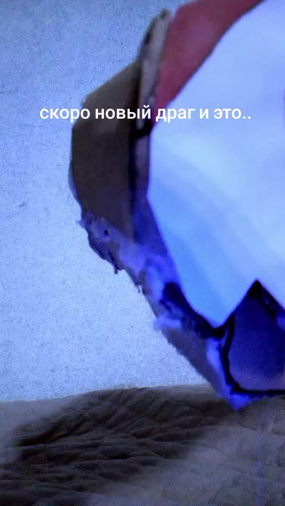 @🌸💮.𝕊𝕒𝕜𝕦𝕣𝕒.💮🌸