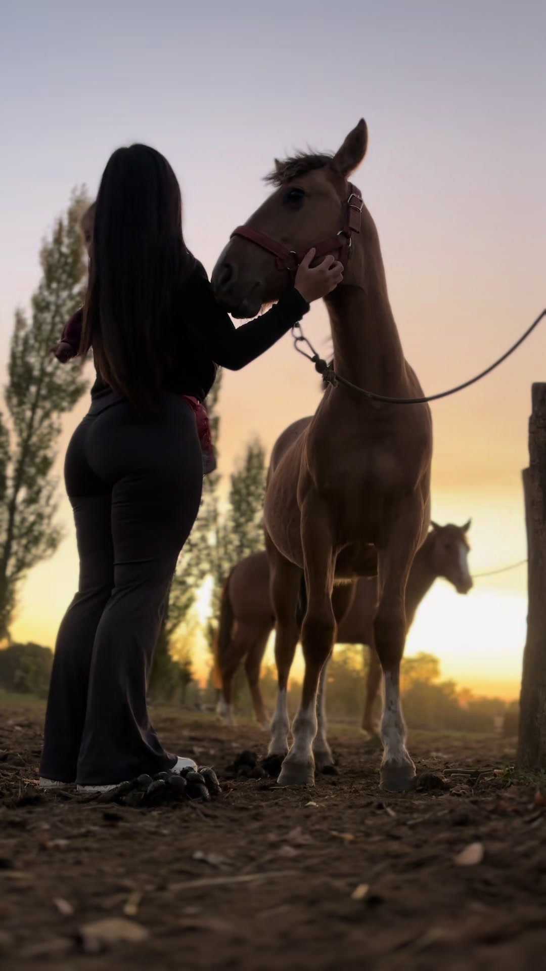 @Betzabé Estefaniaa