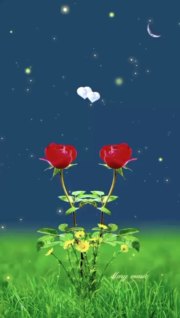 @ᑭEᗪᖇO_ᑭᗩᑌᒪO.OᖴIᑕIᗩᒪ