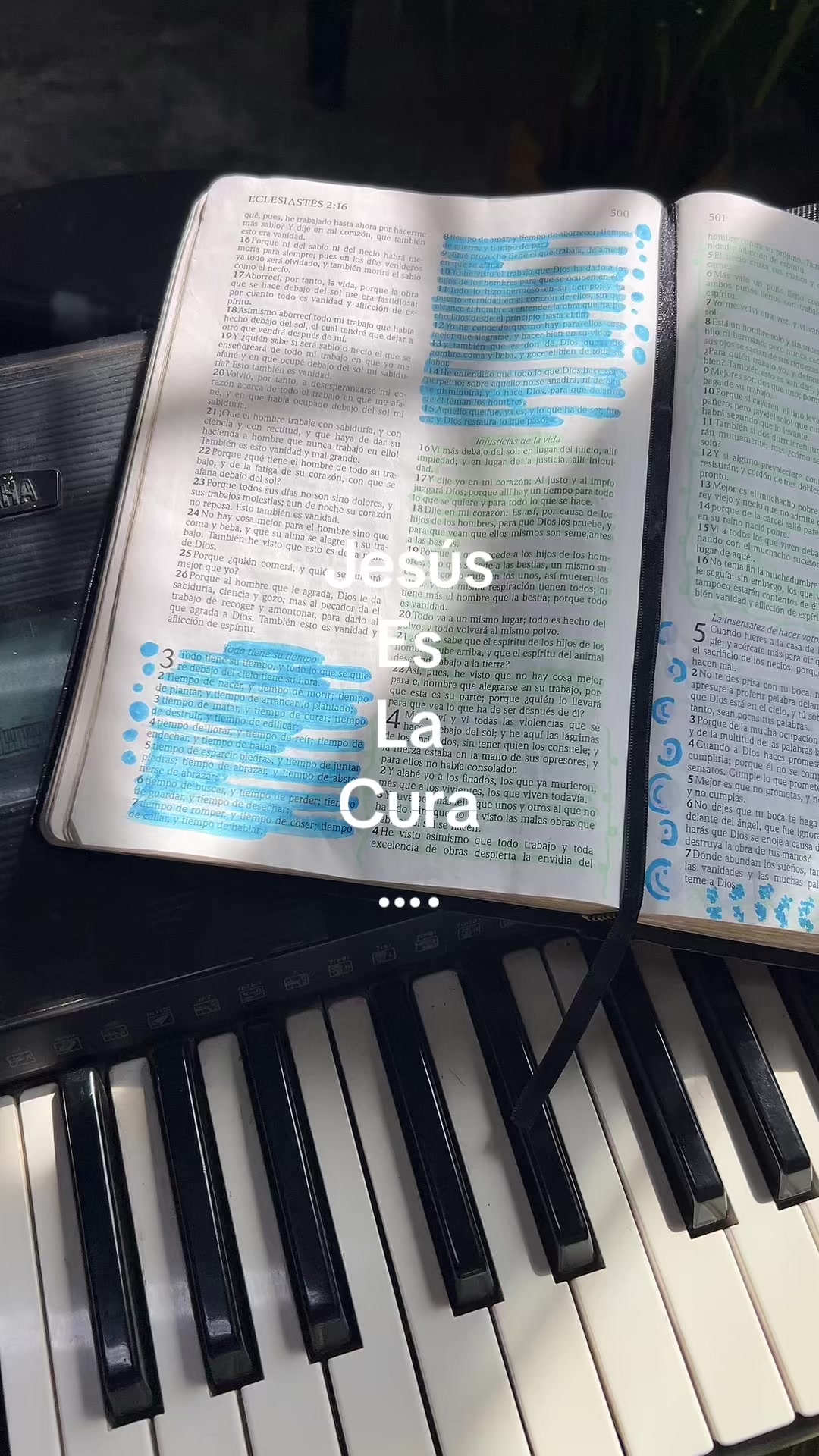 @Navy🎹