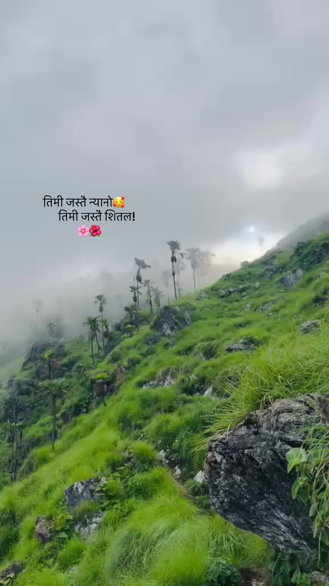 @Anil Adhikari 🦚🦚