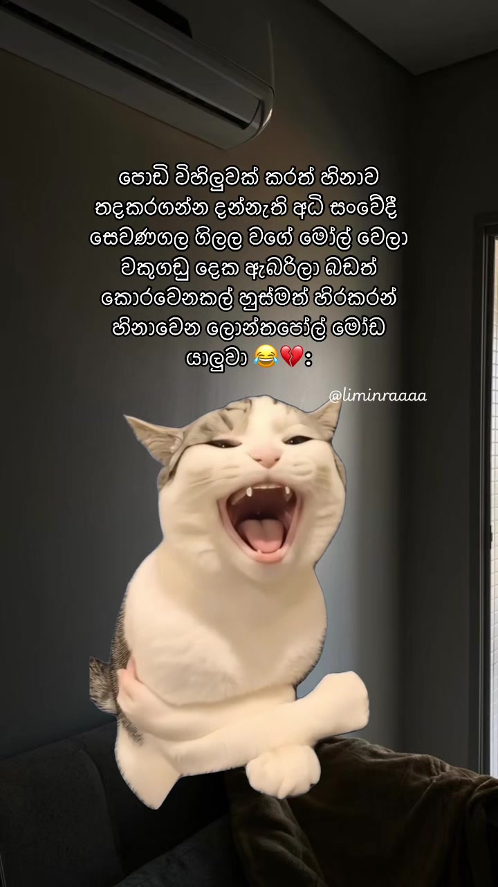 @Lisumi Jayawardana