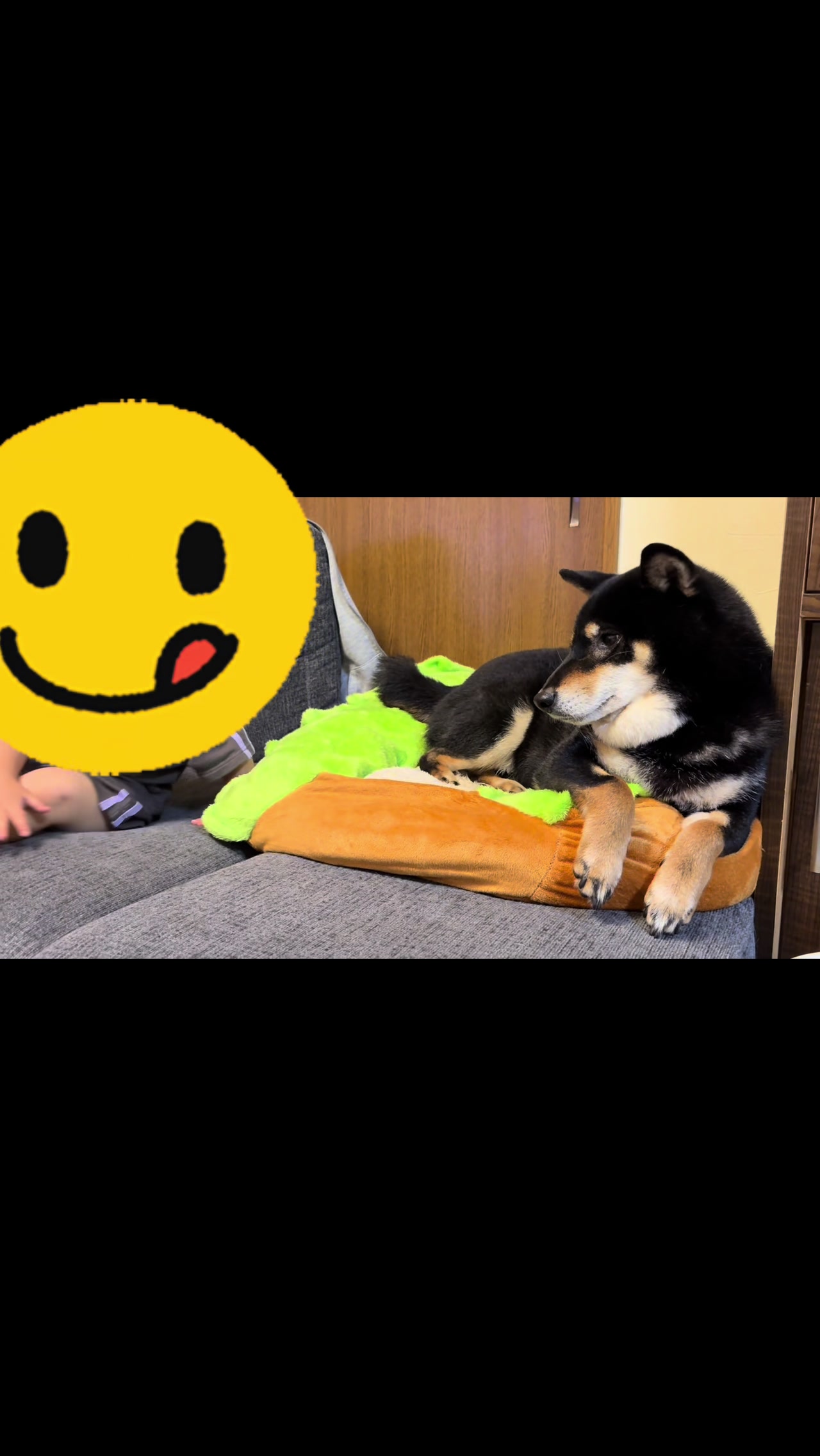 @まろたん🐕