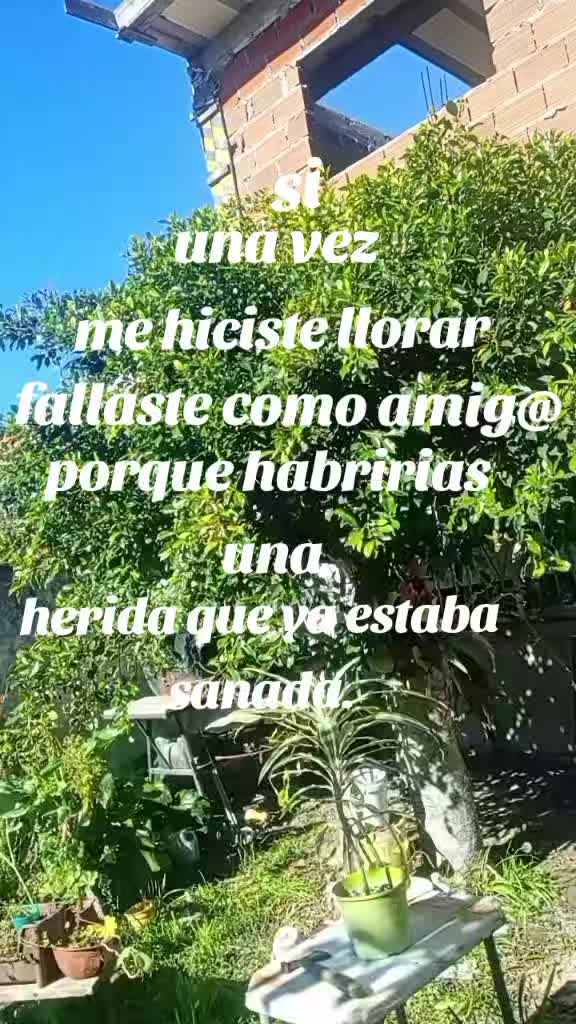 @✿❀Geral❀✿
