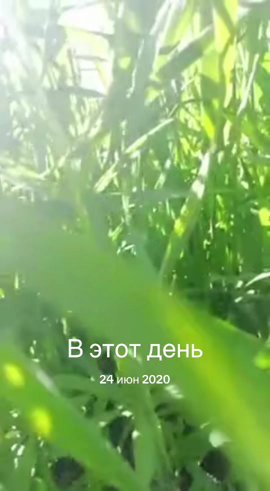 @Кузьмина Татьяна