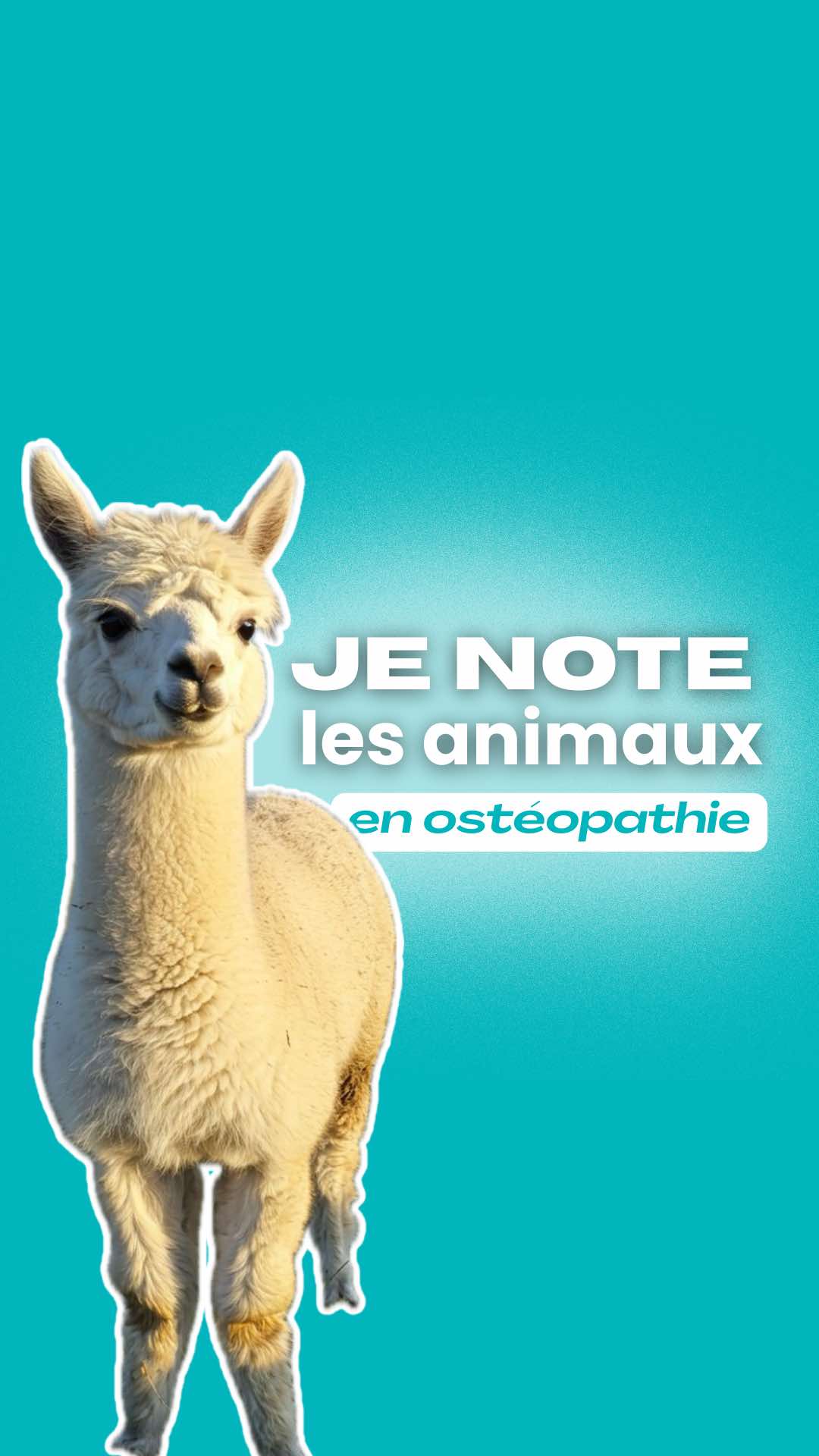 @Animae Ost&eacute;o
