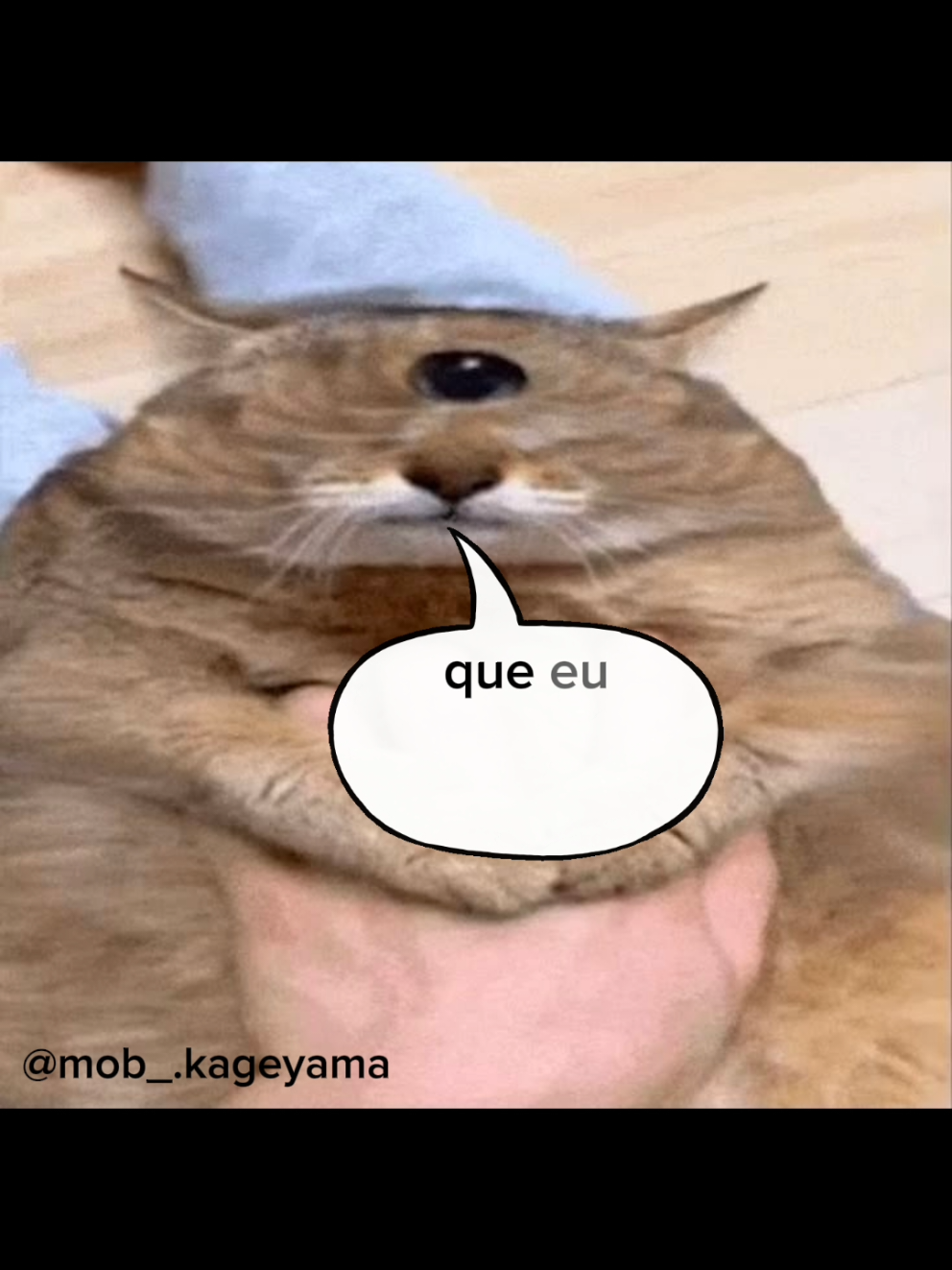@Shigeo