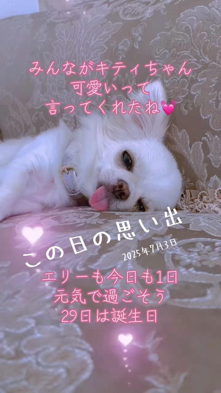@ãããð©µ