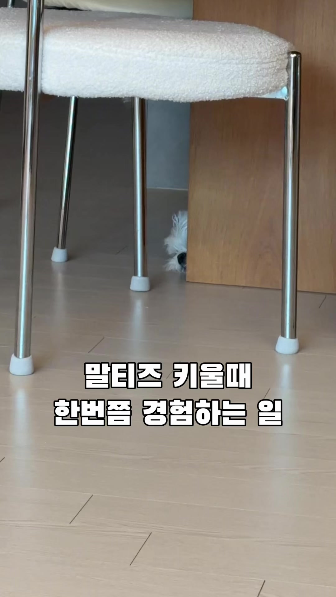 @박까까